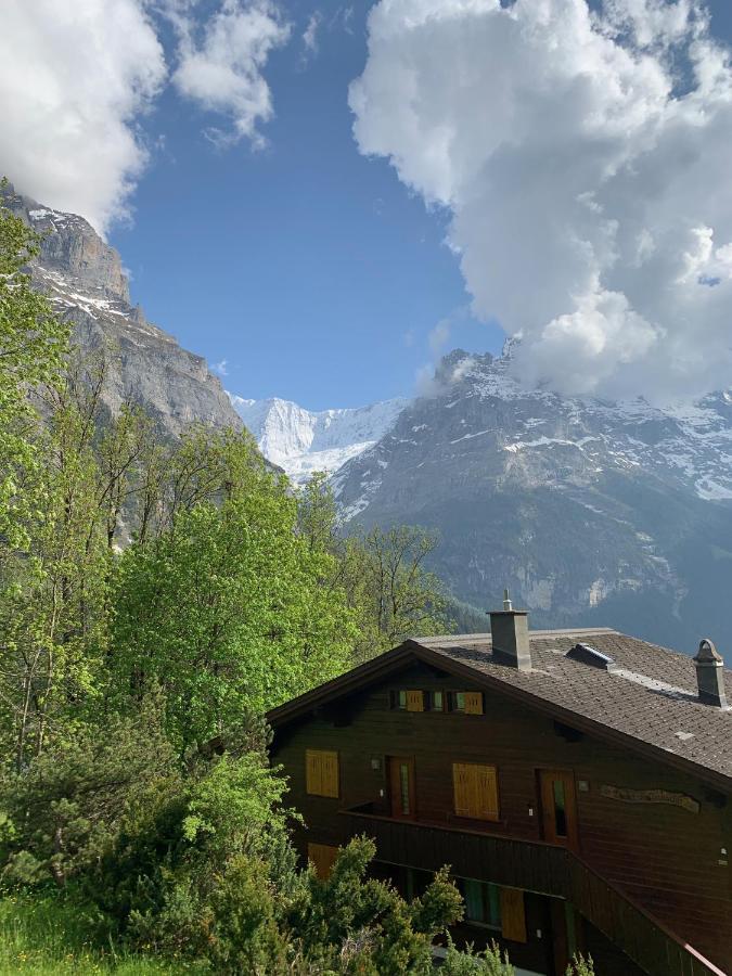 Appartement Sunneblick *
